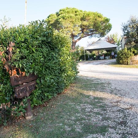 Agriturismo Poggetto Larciano Εξωτερικό φωτογραφία
