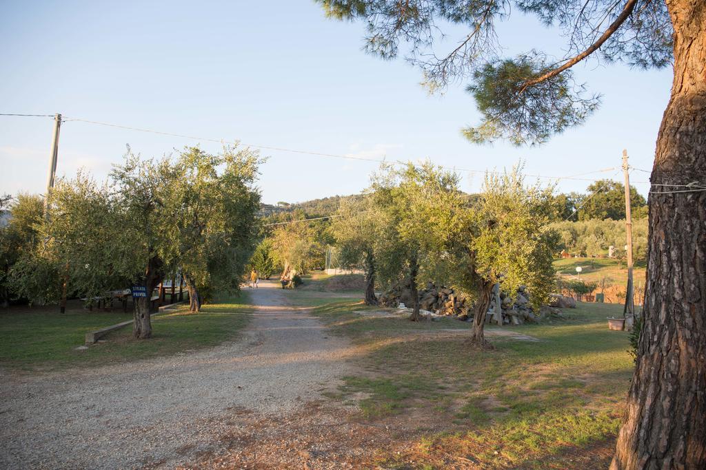 Agriturismo Poggetto Larciano Εξωτερικό φωτογραφία