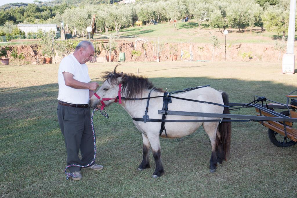 Agriturismo Poggetto Larciano Εξωτερικό φωτογραφία